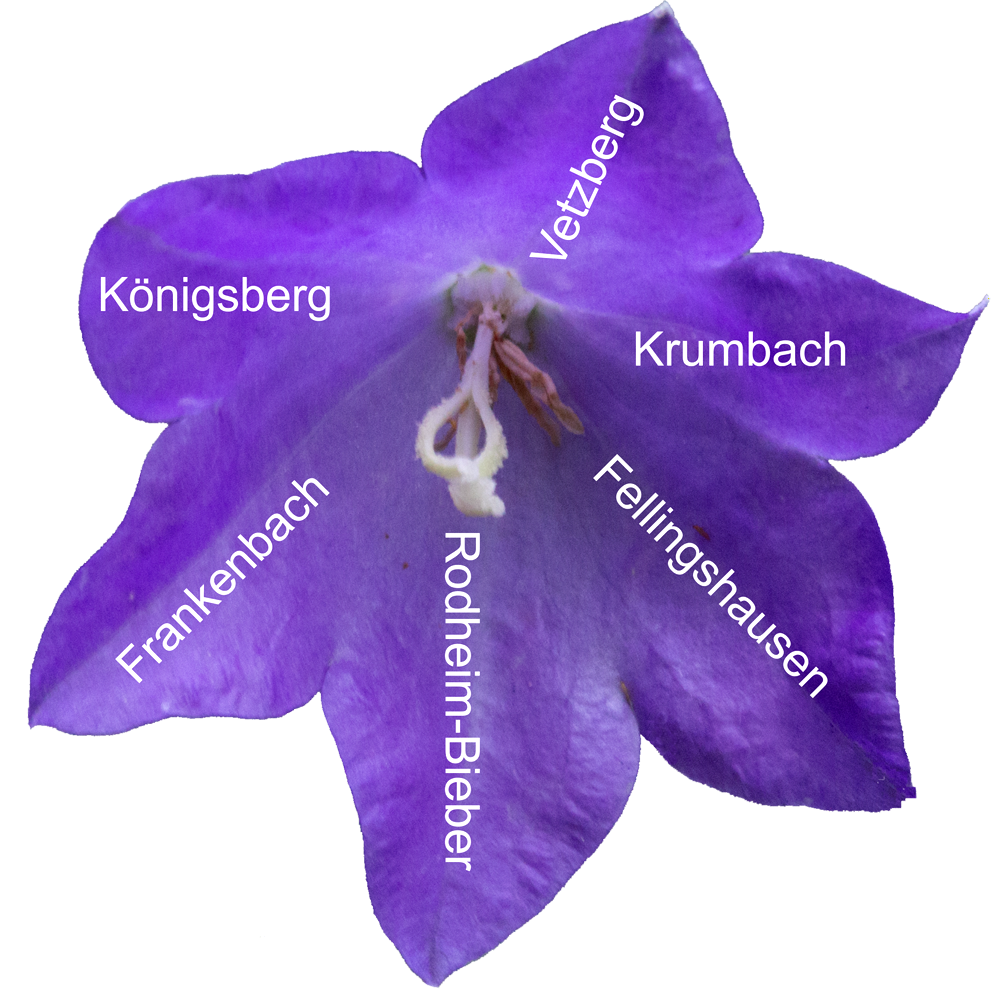 Unser Dünsberg